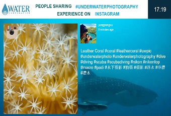 Social template for Instagram Social template for Instagram
