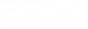 Samsung Logo