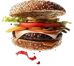 sic img 2