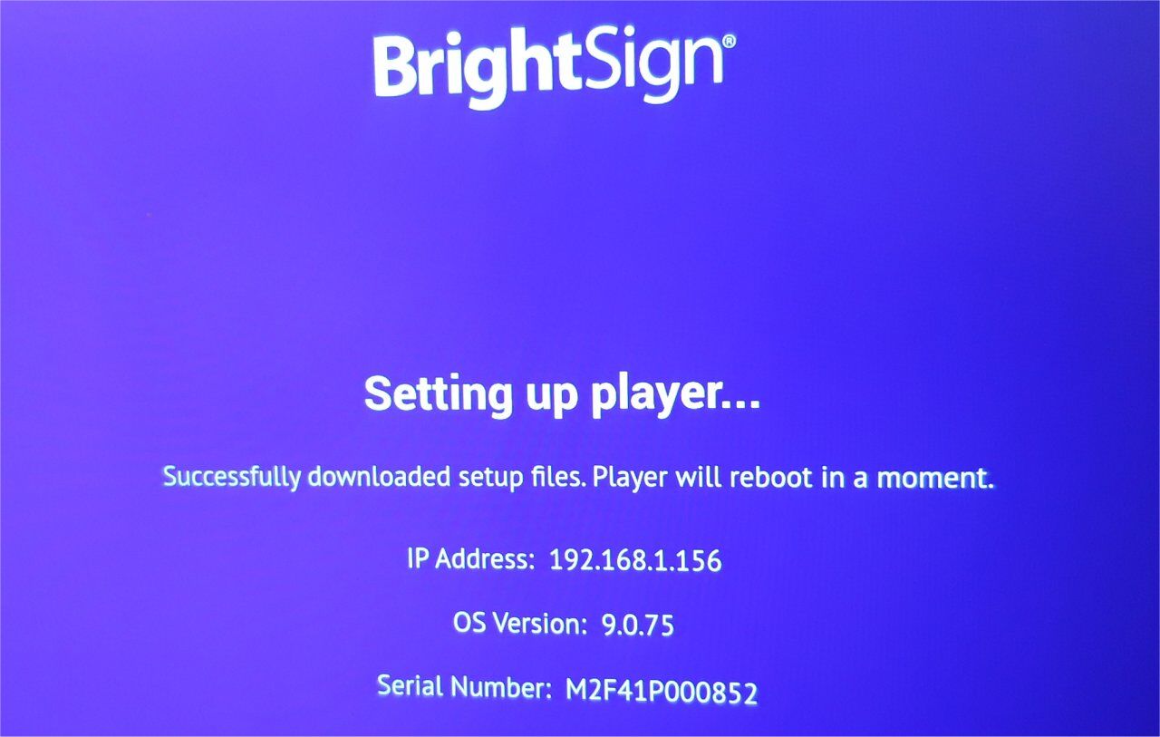 BrightSign setting up player