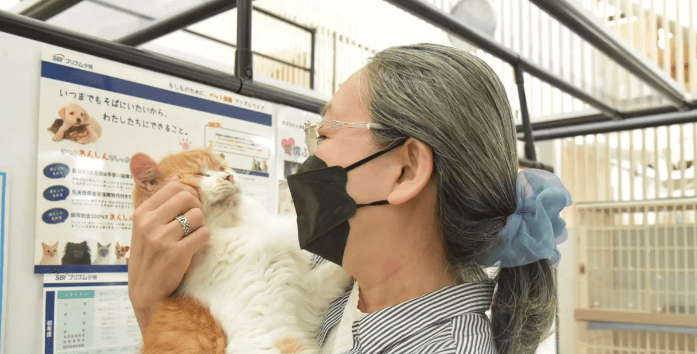 animal shelter digital signage