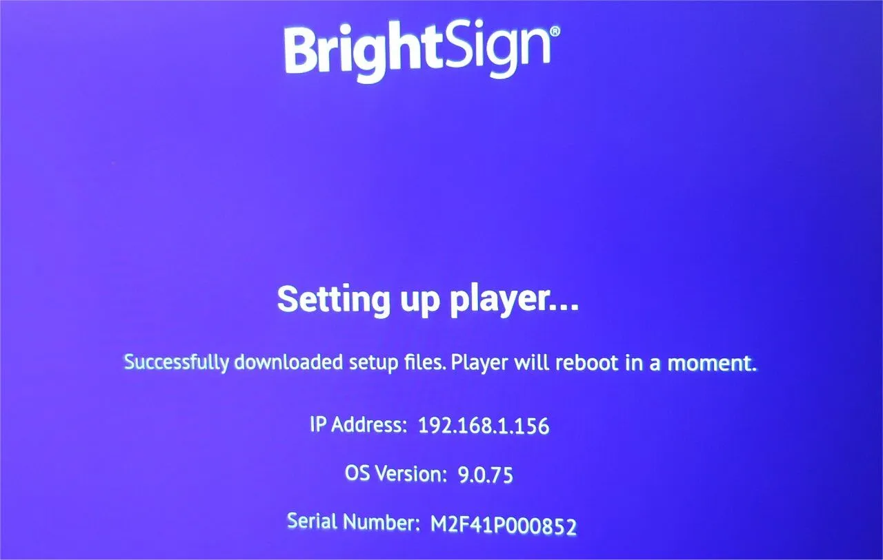 BrightSign setting up player 4
