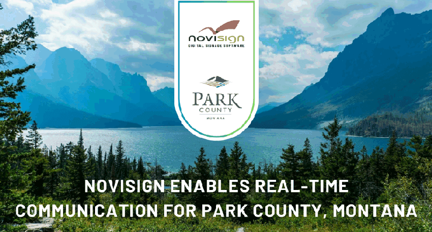 NS Canva banner