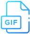 1GIF
