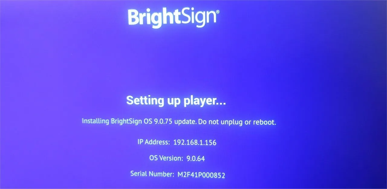BrightSign setting up player 1