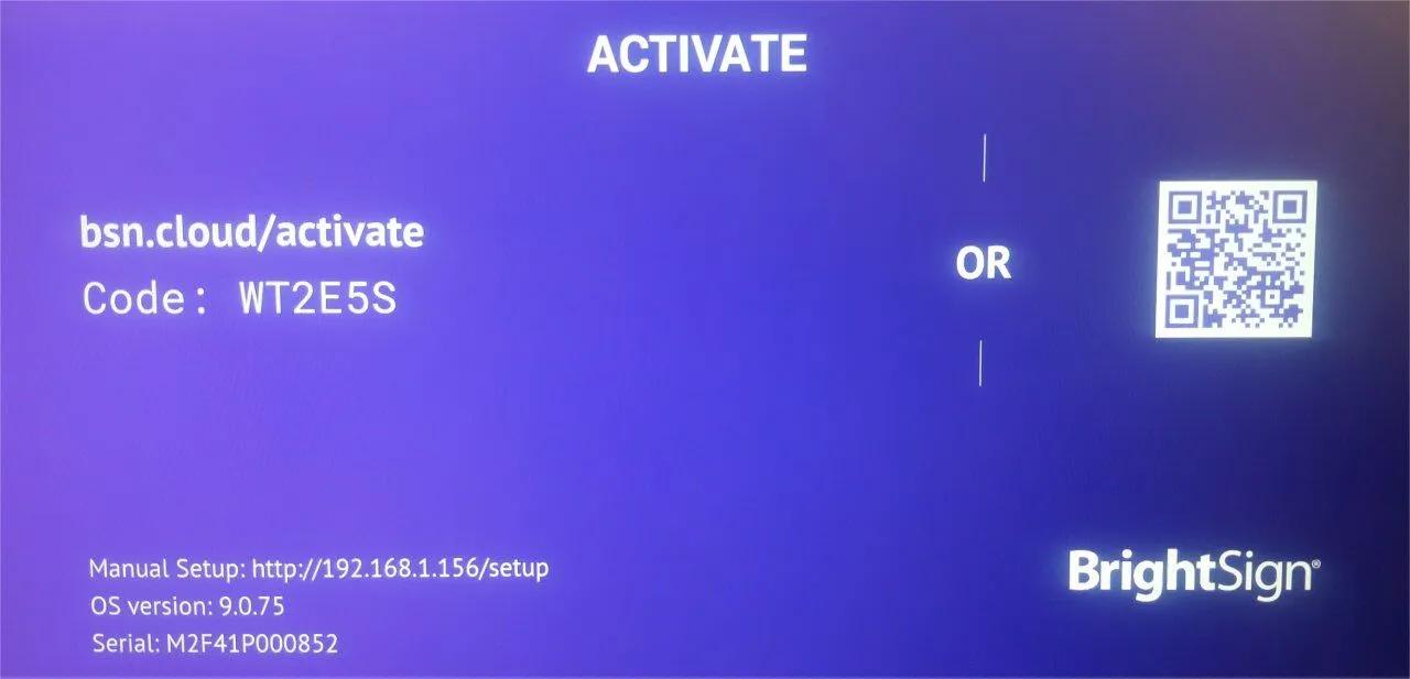 BrightSign setting up player 2