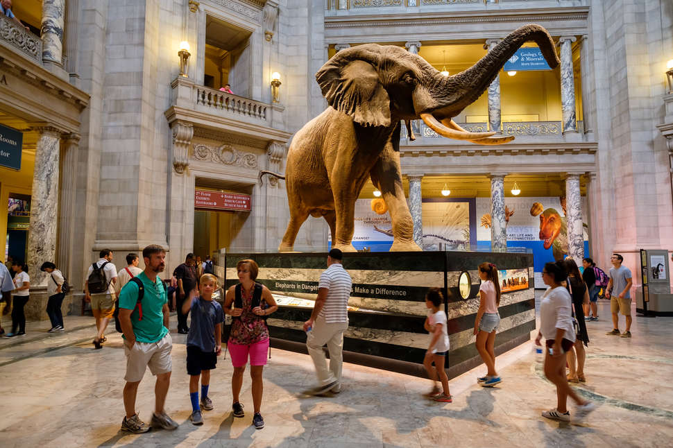 A total guide to digital signage for museums - Museum Digital Signage