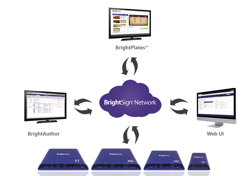 BrightSign Network