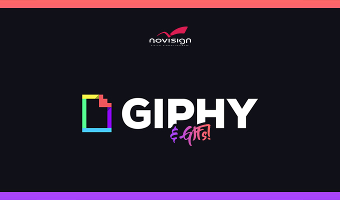 Giphy and GIFs