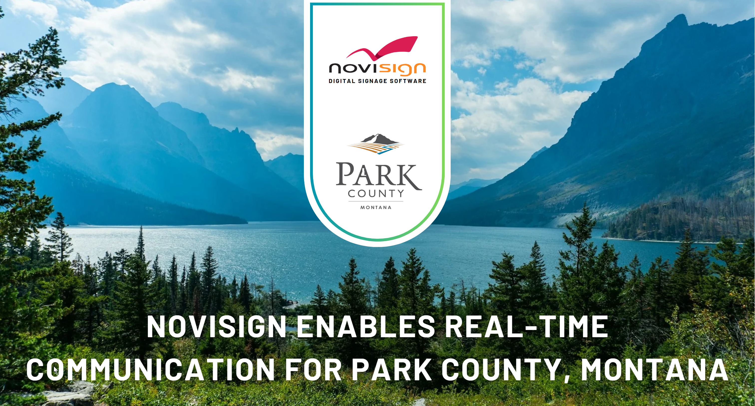 NS Canva banner